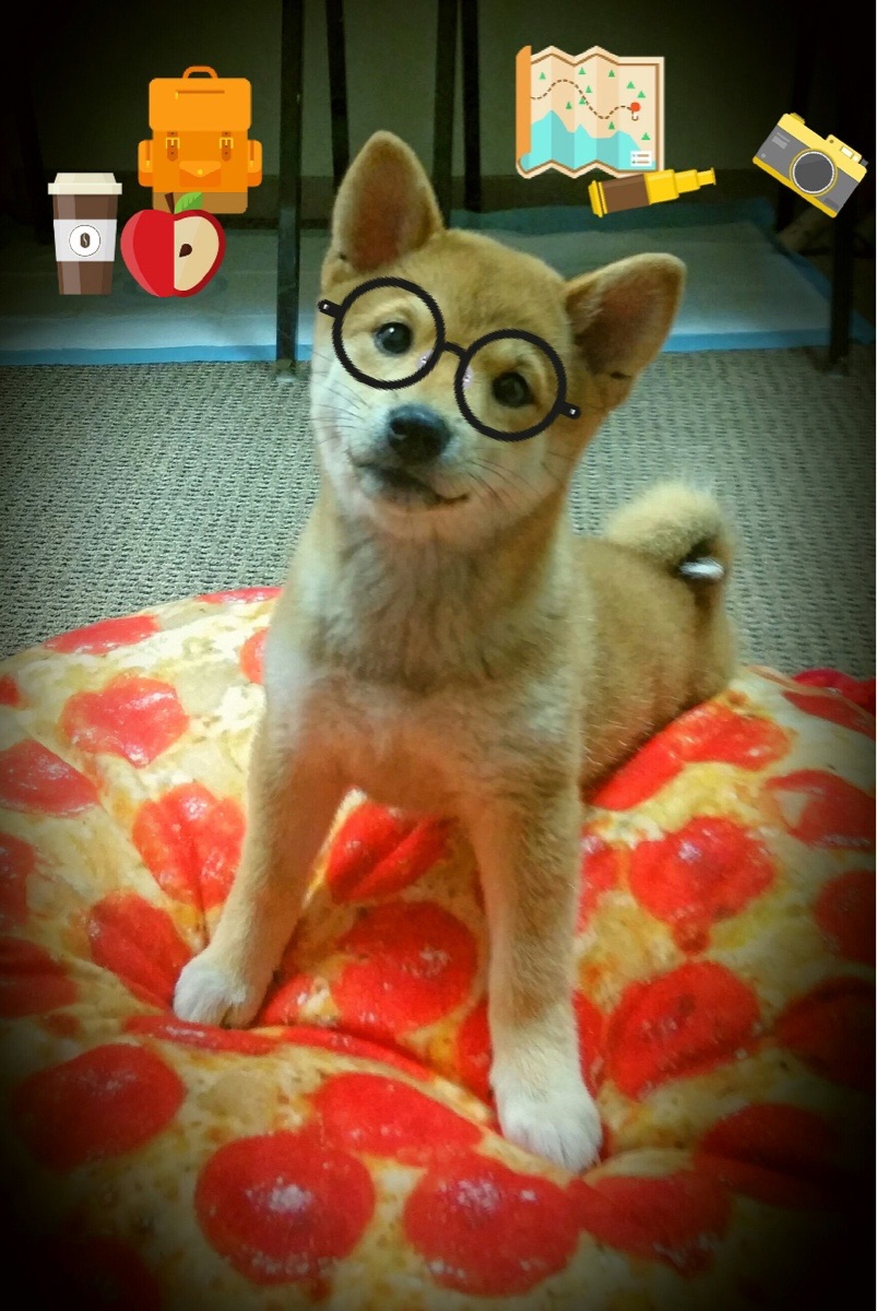 班凯罗的节奏魔法,活塞如何以团队之力偷走绿军胜利