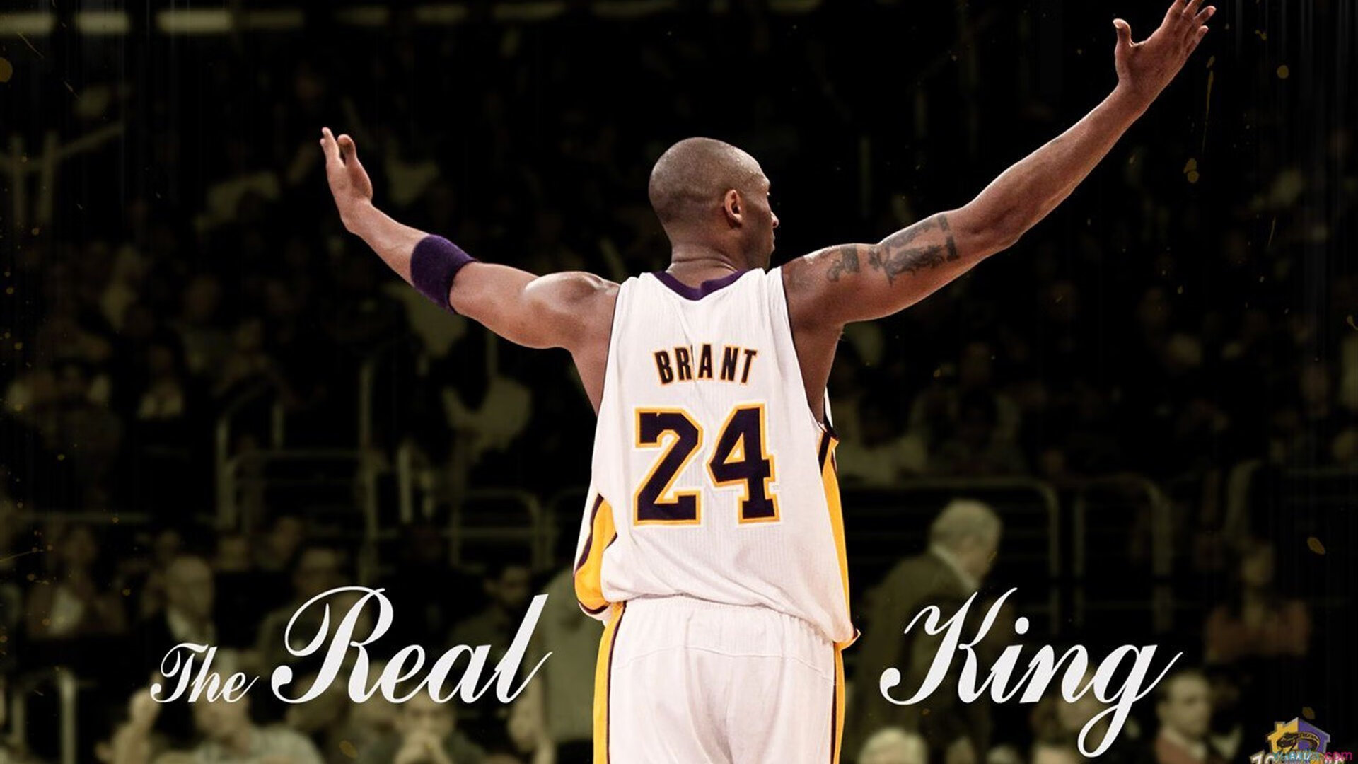 双城记，雄鹿全面压制深圳队，贝恩在F1年度争冠接管比赛