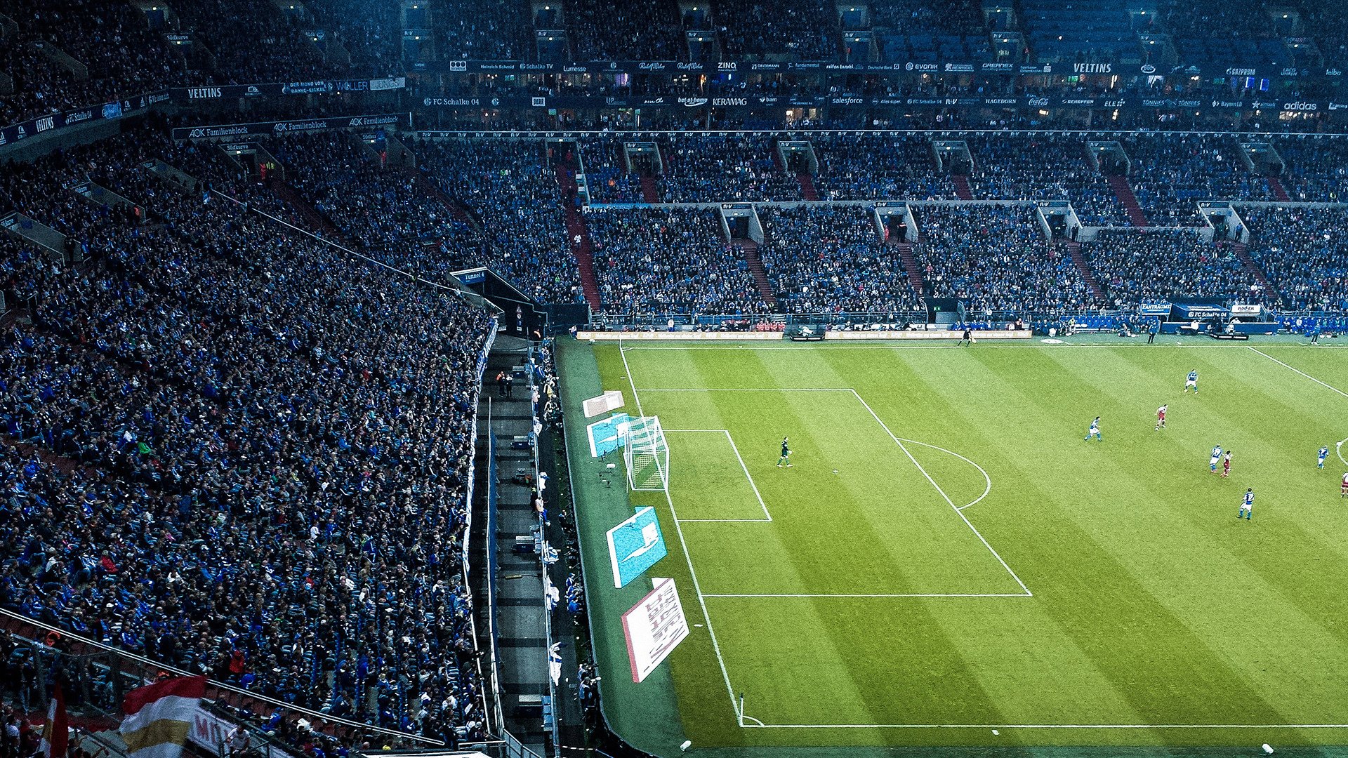 突尼斯带走新西兰，当伊布式英雄主义在西决生死战中接管比赛